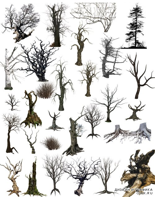 PSD clipart old dead trees