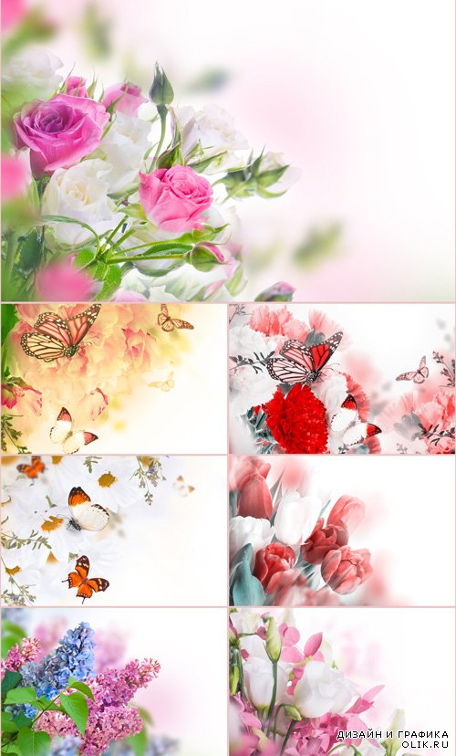 Стоковые фотографии - Красивые цветы
