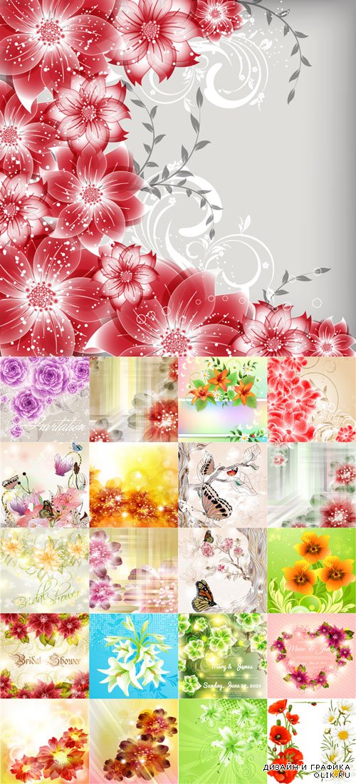 Colorful Flowers Vector Illustration