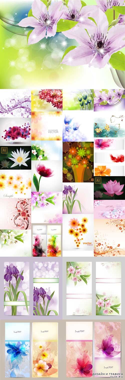 Stunning colorful flowers vector