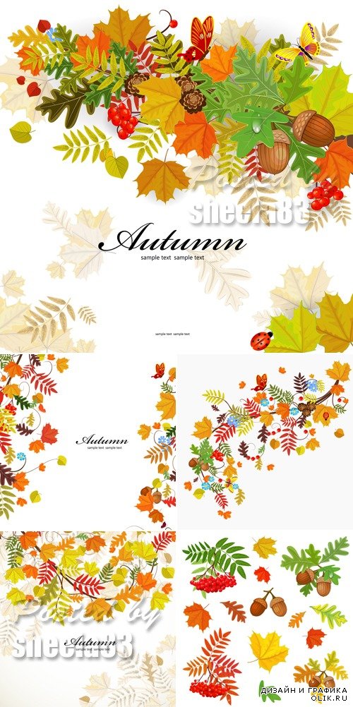 Autumn Leaves Backgrounds Vector 9
