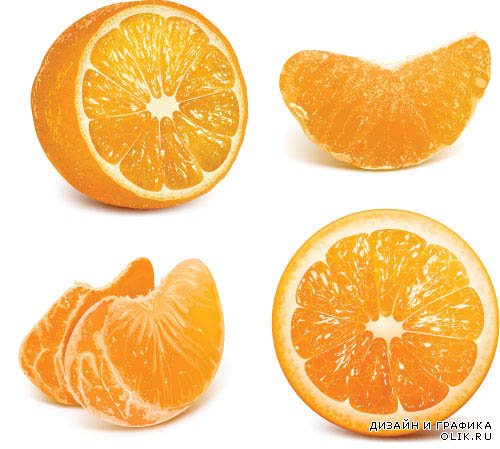 Векторный клипарт - Апельсин