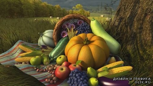 Видео футаж HD- Урожайная осень