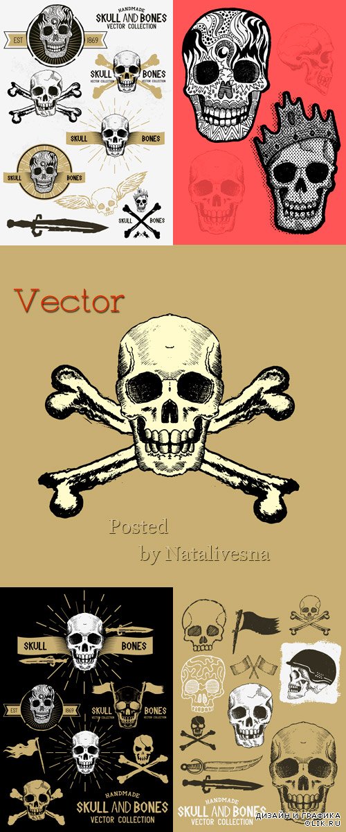 Подборка векторного клипарта – Черепа и кости  