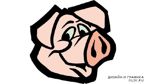 Свинья и хряк (векторные отрисовки)