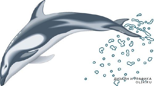 Векторные дельфины (подборка картинок)