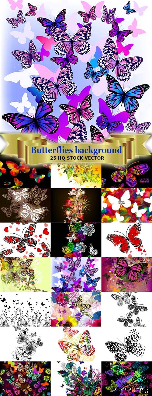 Красивые бабочки в узорах и фонах