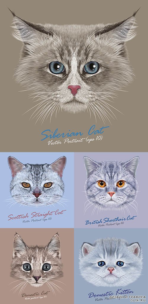 Рисунки кошек в векторе