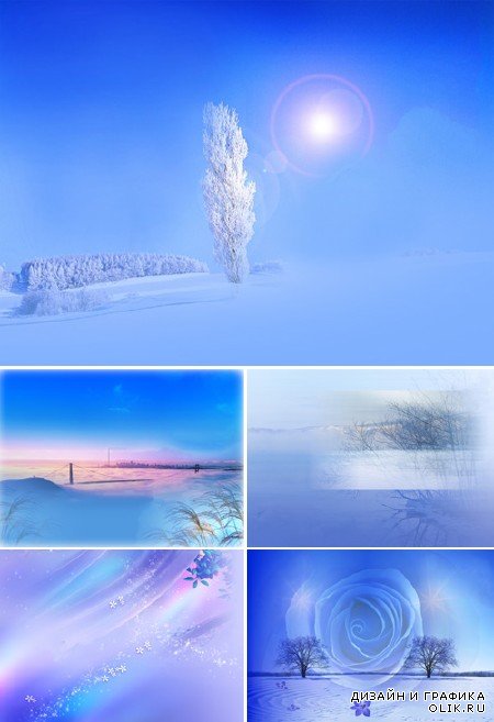 Зимние поля