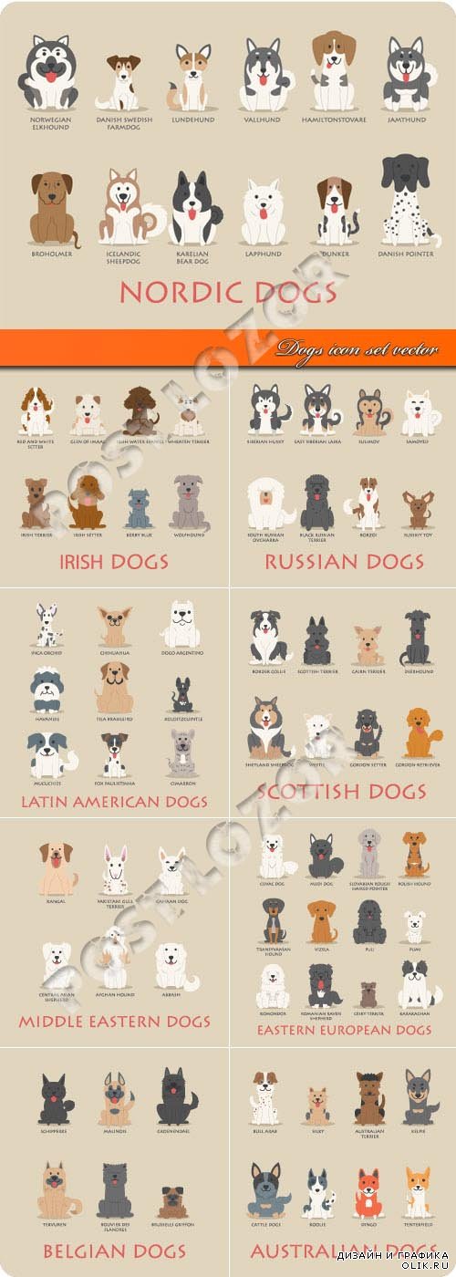 Dogs icon set vector