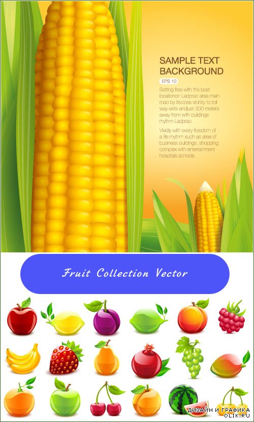 Yellow corn background vector фоны с желтой кукурузом вектор