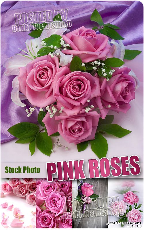 Розовые розы - Растровый клипарт