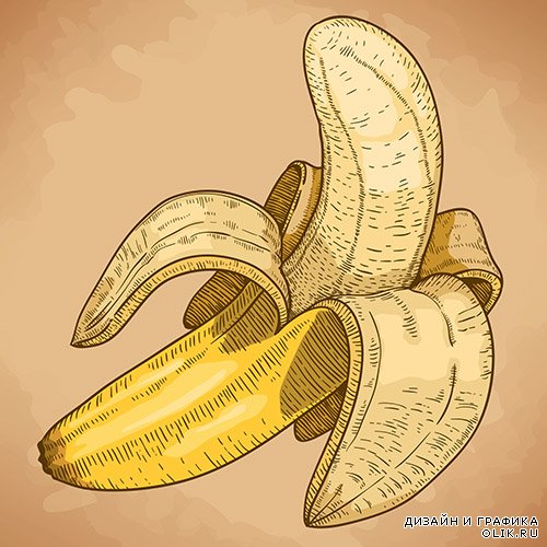 Векторный клипарт - Бананы 2