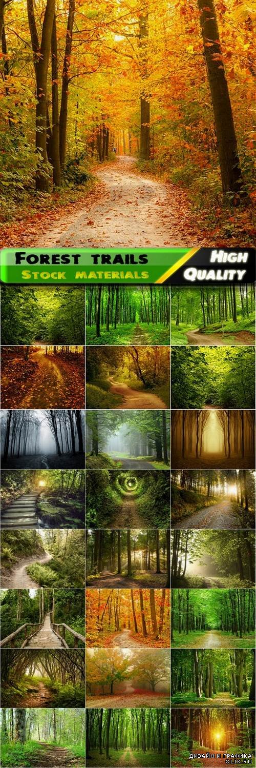 Beautiful pictures of forest trails and roads - 25 HQ Jpg
