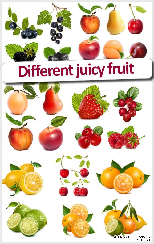 Смородина вишни и другие фрукты - Сочный векторный клипарт