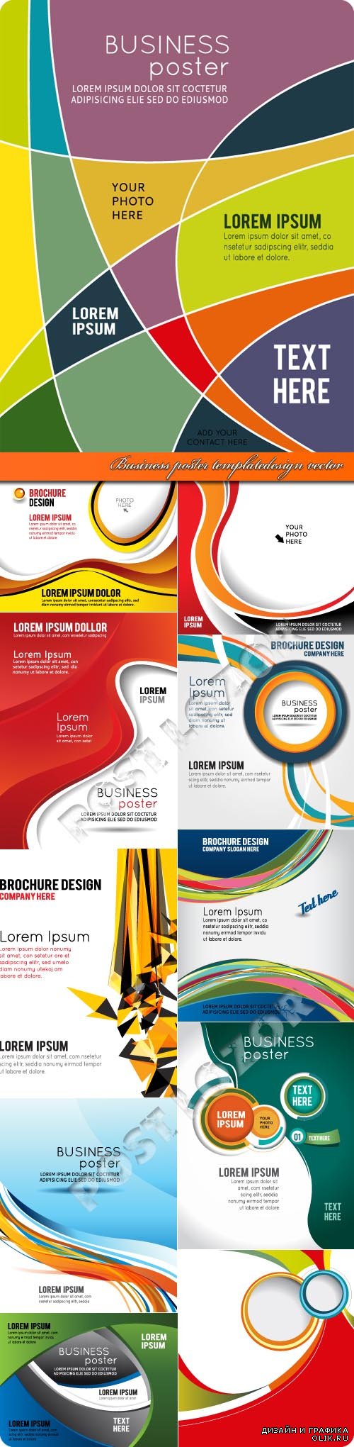 Business poster template design vector