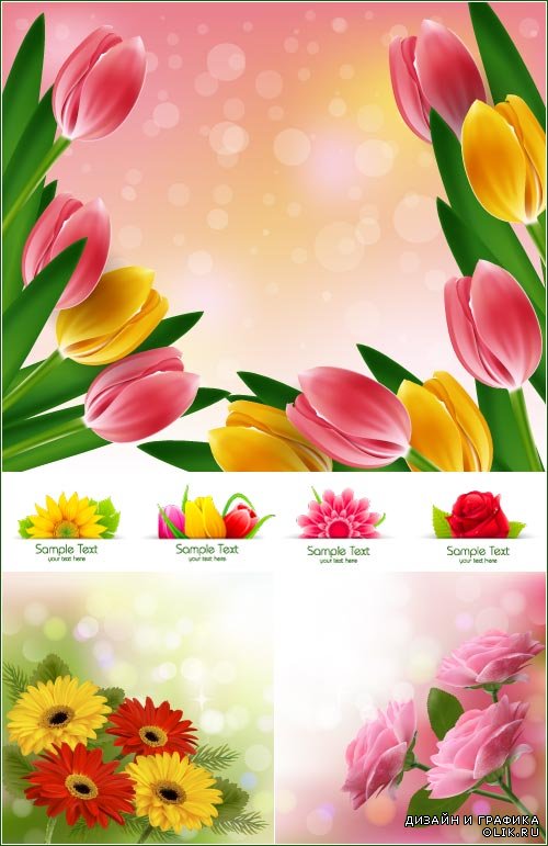 Floral backgrounds frame 13 vector