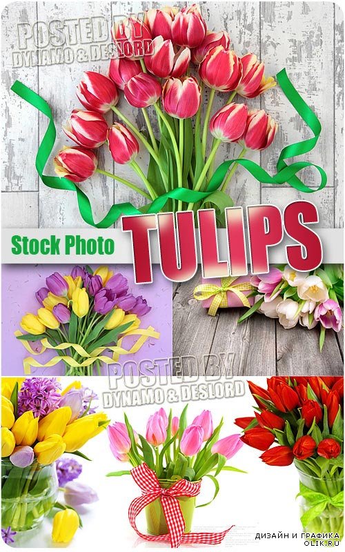 Тюльпаны - Растровый клипарт