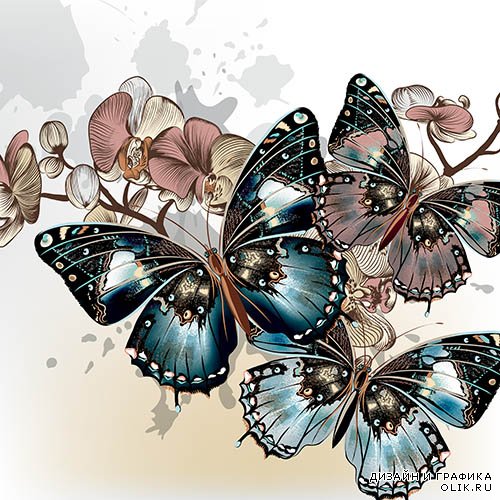 Векторный клипарт - Бабочки 6