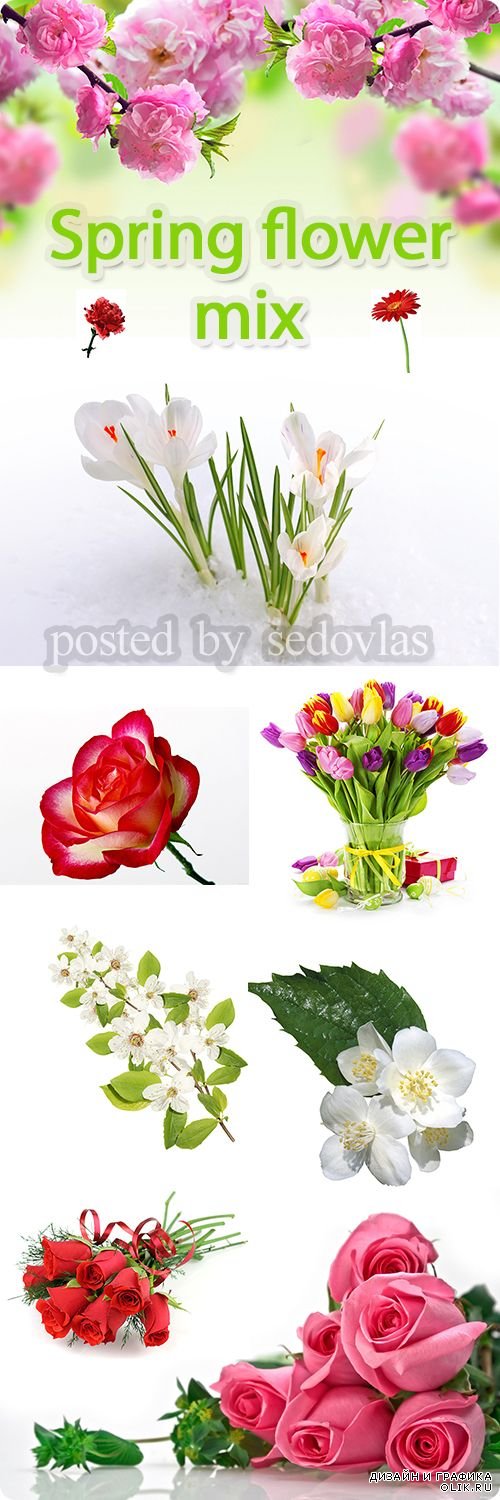 Мега коллекция растровых клипартов Весенне-цветочный микс | Mega collection of raster clipart Spring flower mix