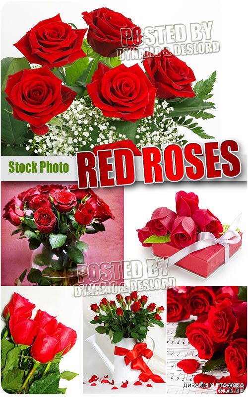 Красные розы - Растровый клипарт