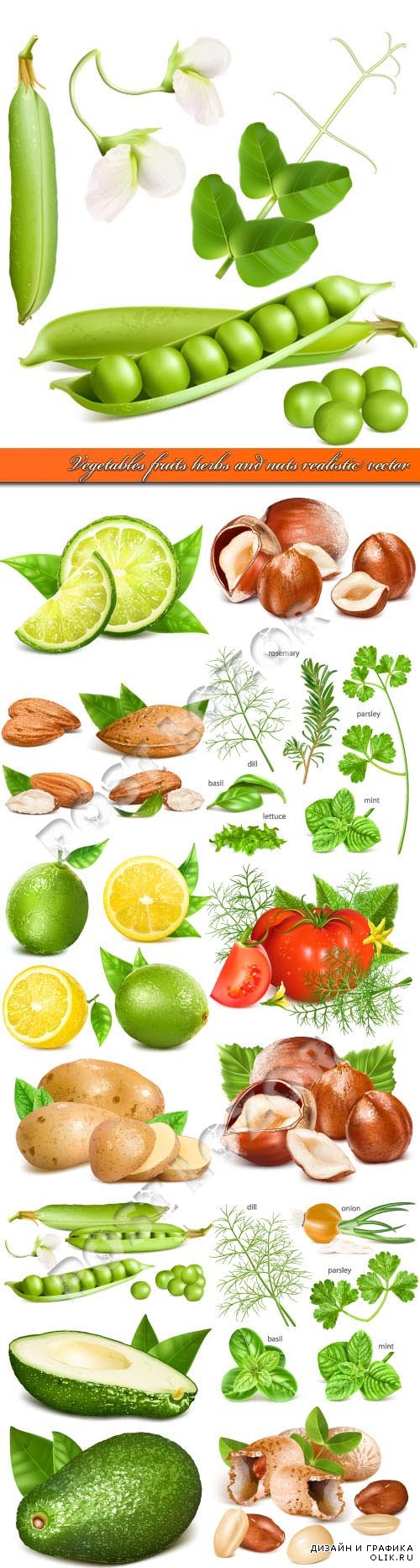 Vegetables fruits herbs and nuts realistic vector