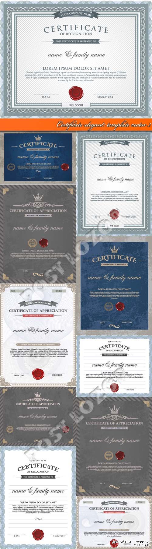 Certificate elegant template vector 3