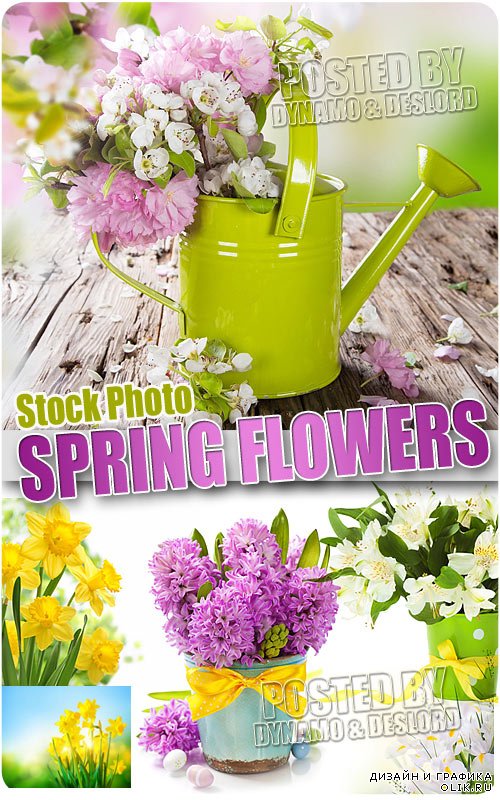 Весенние цветы 3 - Растровый клипарт