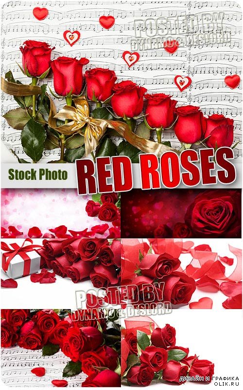 Красные розы 2 - Растровый клипарт