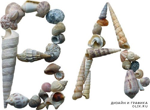 Морские ракушки (буквы и цифры) на прозрачном фоне