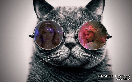 Рамка фотоэффект  - Котик в очках