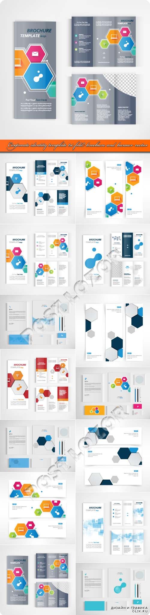 Corporate identity template tri-fold brochure and banner vector