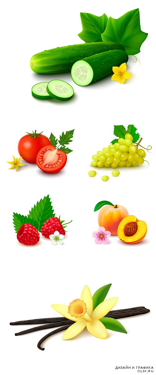 Векторный клипарт - Нарисованные фрукты и овощи 4