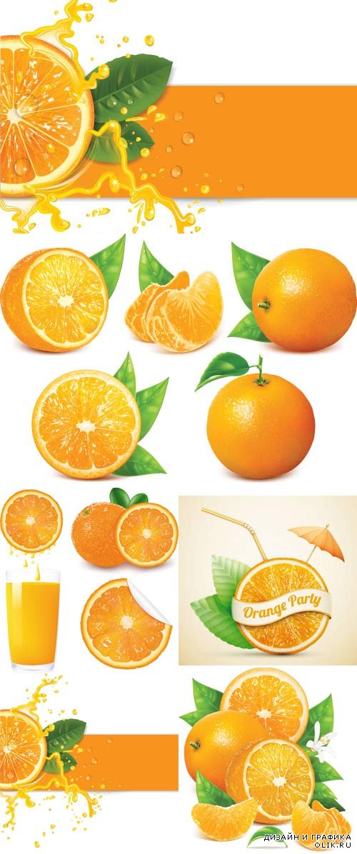 Яркие, сочные апельсины в векторном формате - скачать бесплатно