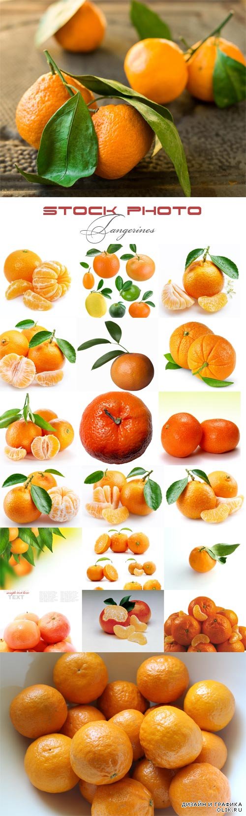 Tangerines raster graphics