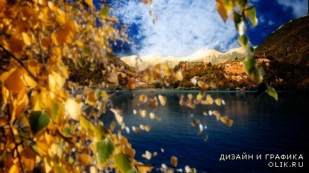 Золотая осень на фоне гор - прекрасный футажв формате FullHD