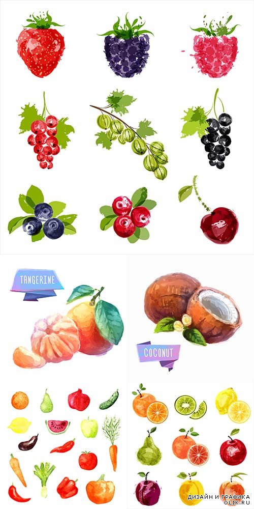 Векторный клипарт - Нарисованные фрукты и овощи 5