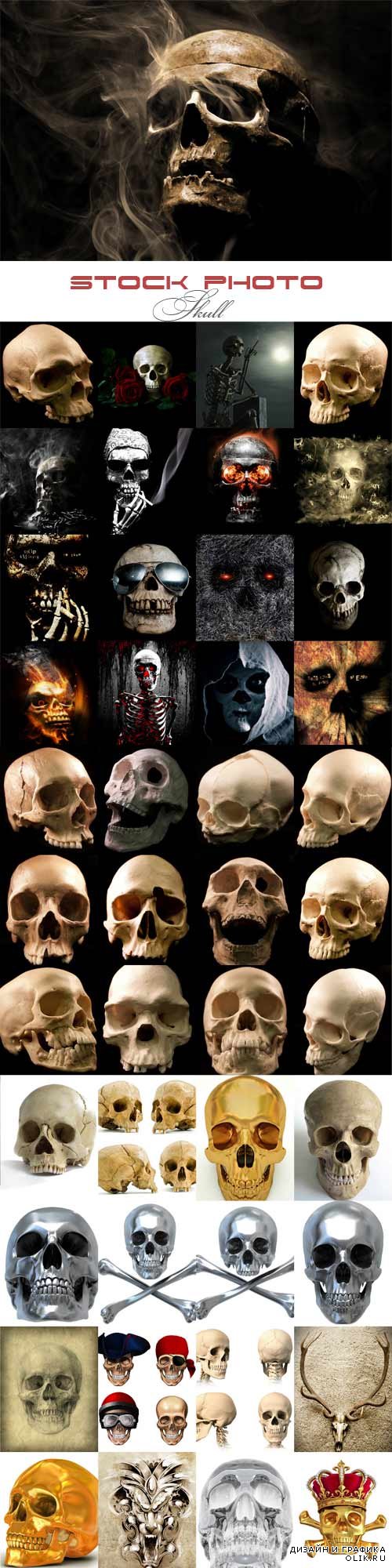Skull  raster graphics