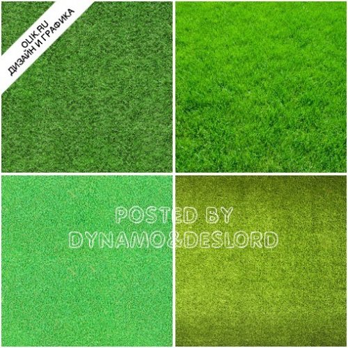 Зеленая трава - фоны высокого разрешения