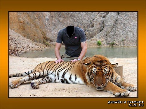 Фото шаблон - В обнимку с тигром