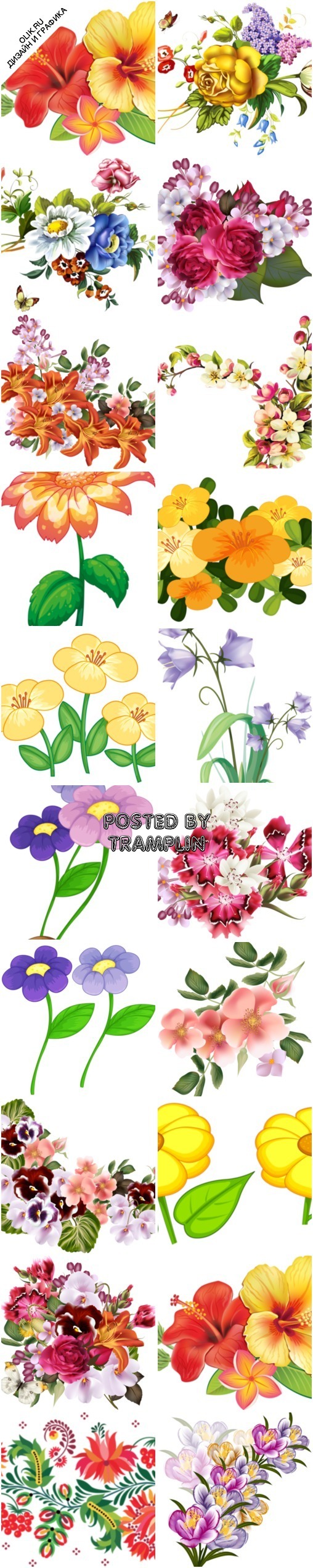 Яркие цветы картинки растровые на прозрачном фоне в формате PNG
