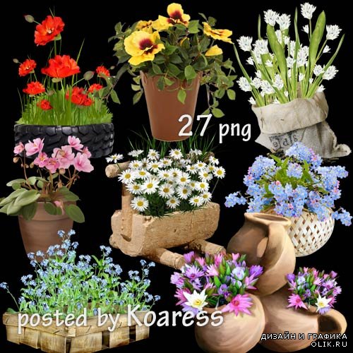 Растровый клипарт для фотошопа - Садовые и комнатные цветы в корзинах, вазонах, горшках