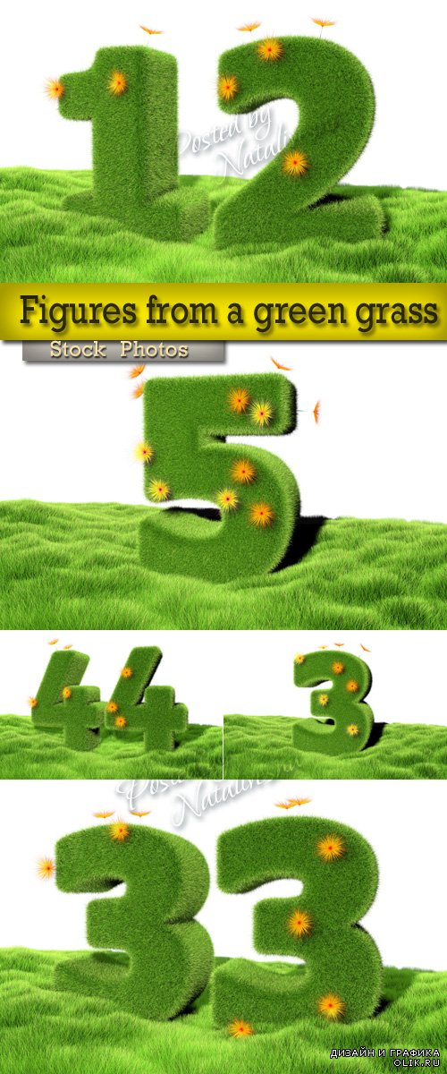 Цифры из зеленой травы и цветов