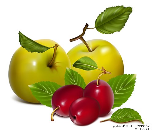 Векторный клипарт - Ягоды и фрукты 2