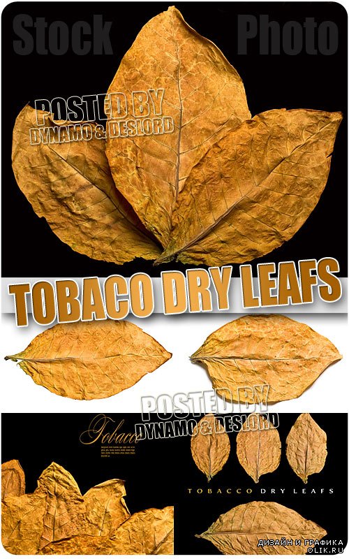 Сухие табачные листы - Растровый клипарт