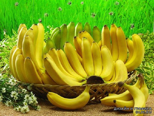 Банан (подборка изображений)