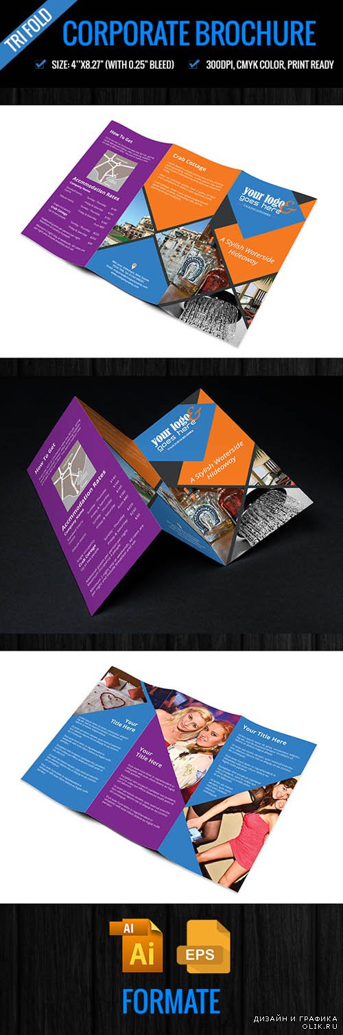 Vector Corporate Tri-fold Brochure