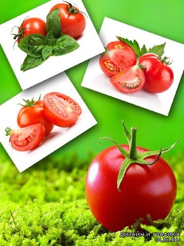 Сочный помидор (подборка изображений)