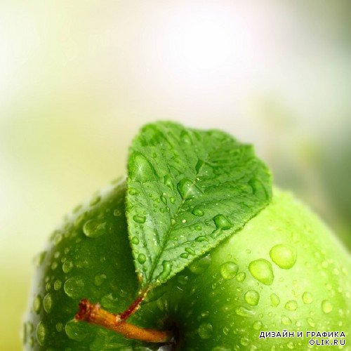 Душистое яблоко (подборка изображений)