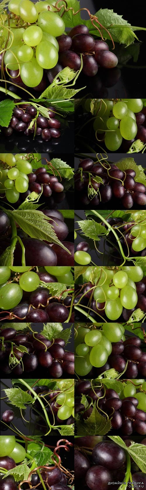 Ветви винограда - Растровая графика.